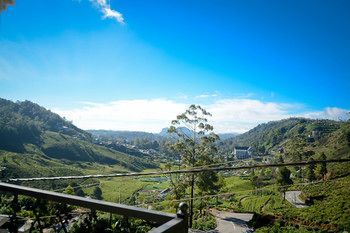 Outdoor Pictures 22