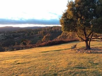 Outdoor Pictures 24