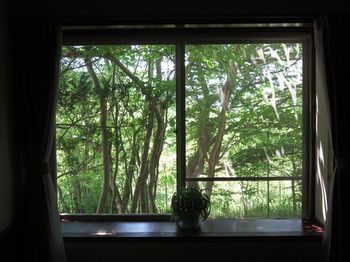 Outdoor Pictures 21
