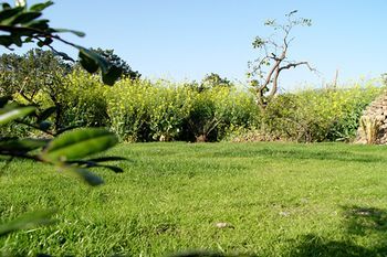Outdoor Pictures 9