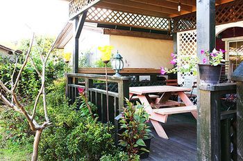 Outdoor Pictures 10