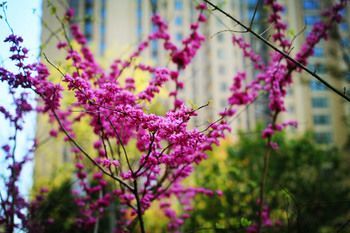 Outdoor Pictures 21