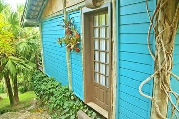 Outdoor Pictures 24