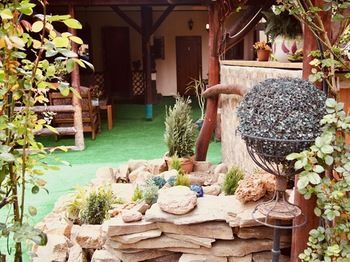 Outdoor Pictures 23