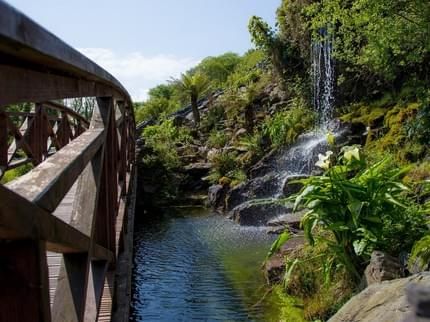 Outdoor Pictures 20