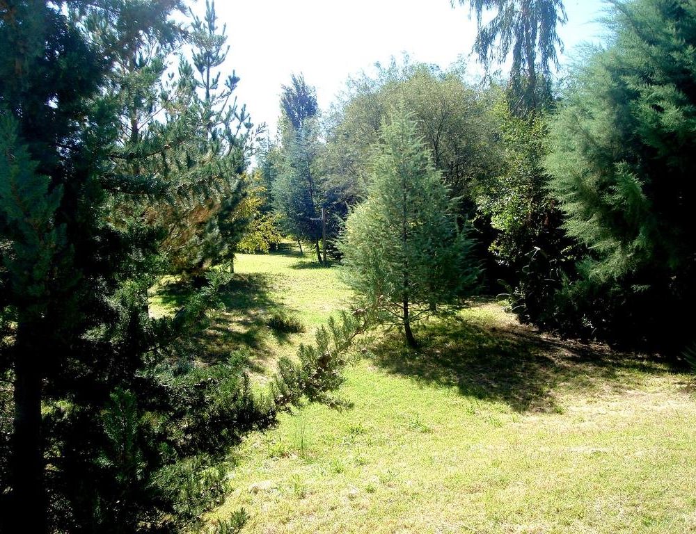 Outdoor Pictures 18