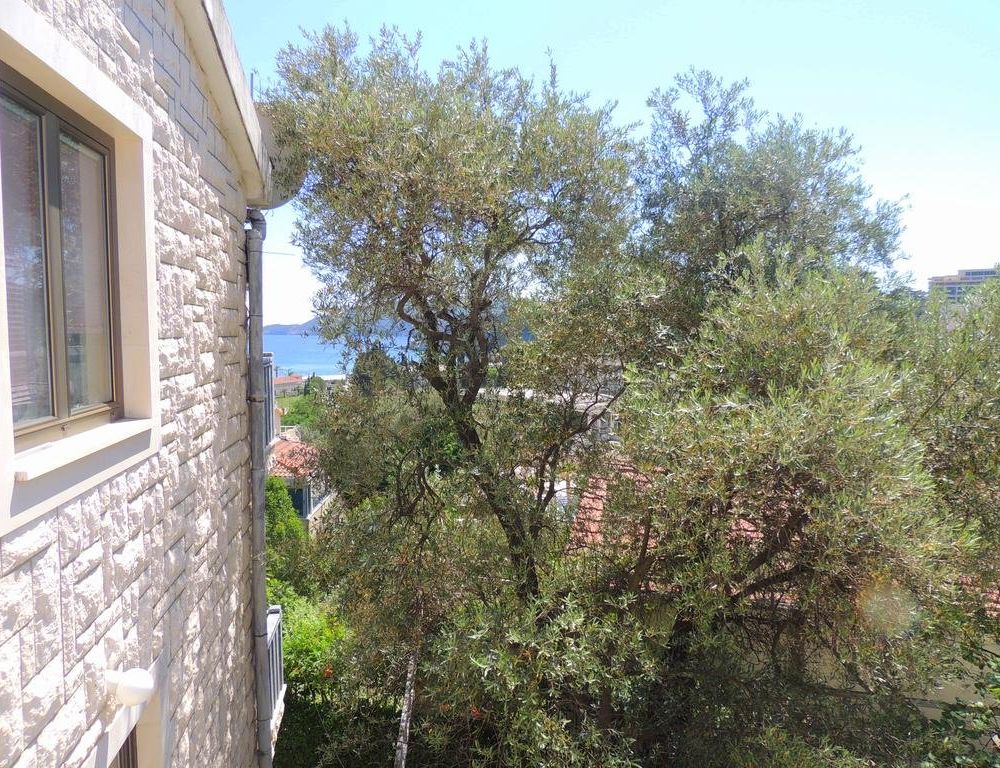 Outdoor Pictures 10