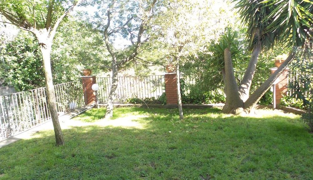 Outdoor Pictures 19