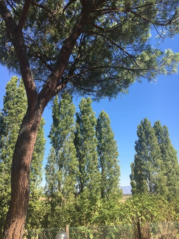 Outdoor Pictures 19