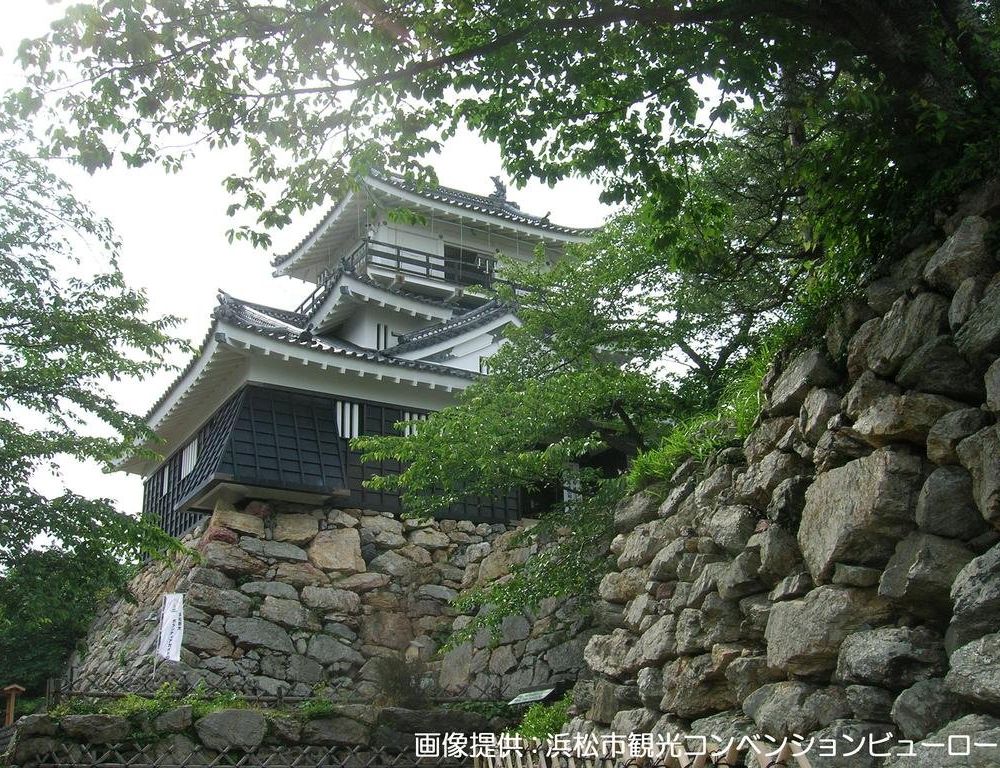 Outdoor Pictures 24