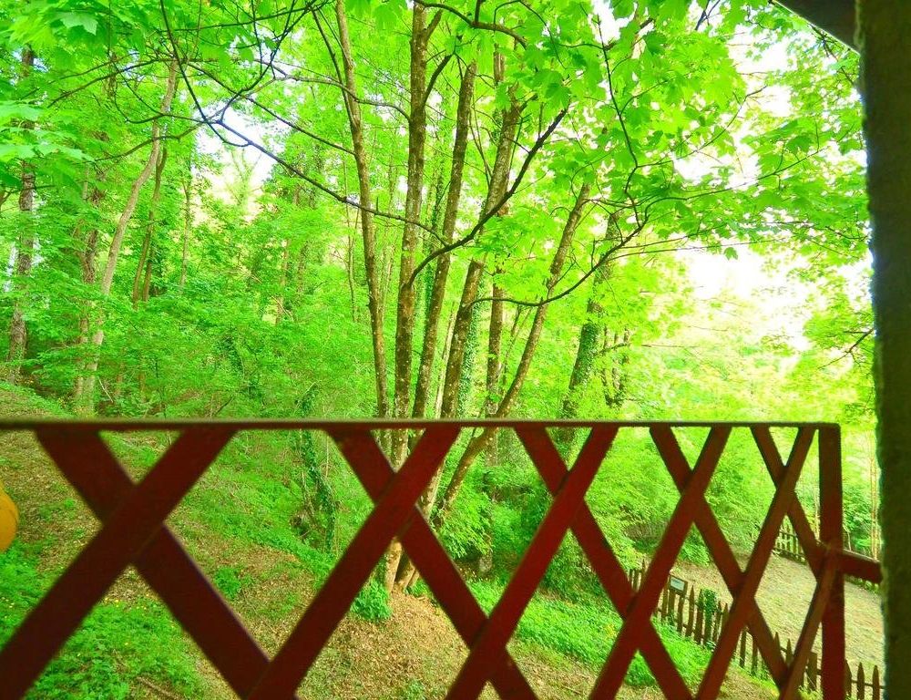 Outdoor Pictures 20