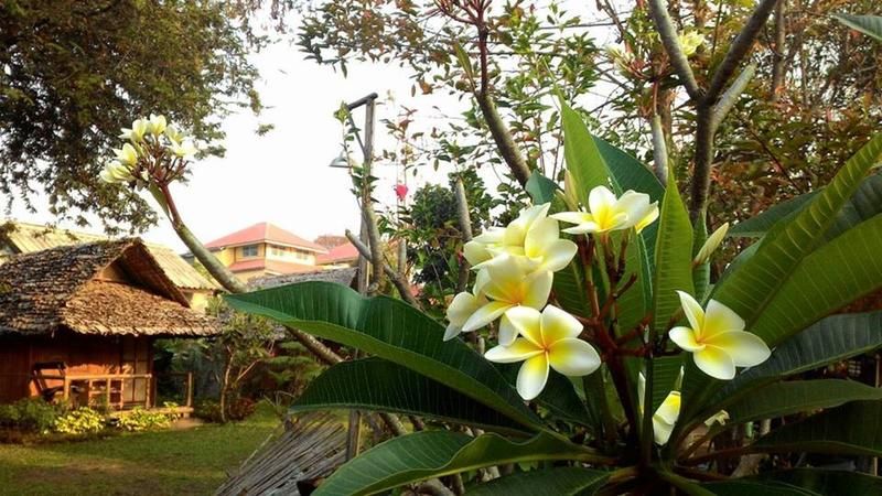 Outdoor Pictures 19