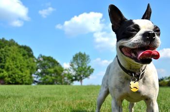 Outdoor Pictures 21