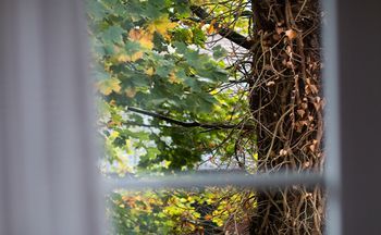 Outdoor Pictures 22