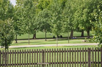 Outdoor Pictures 21