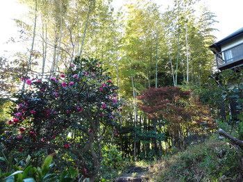 Outdoor Pictures 22