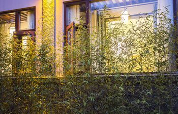 Outdoor Pictures 24