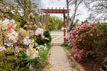 Outdoor Pictures 21