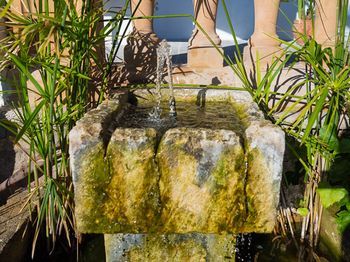 Outdoor Pictures 17