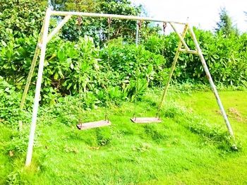 Outdoor Pictures 23