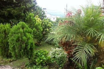 Outdoor Pictures 18