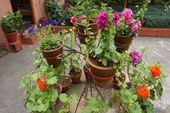 Outdoor Pictures 22