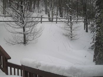 Outdoor Pictures 11