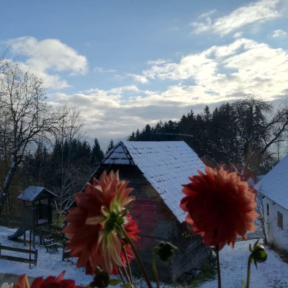 Outdoor Pictures 23