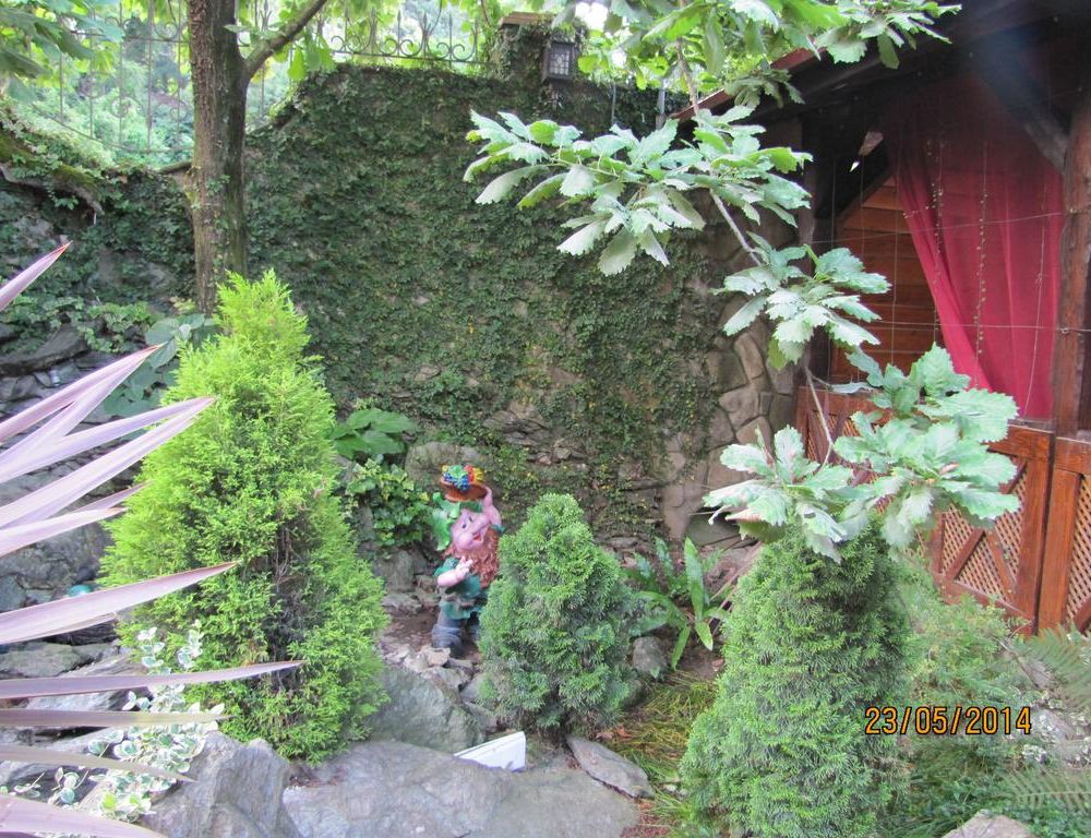 Outdoor Pictures 21