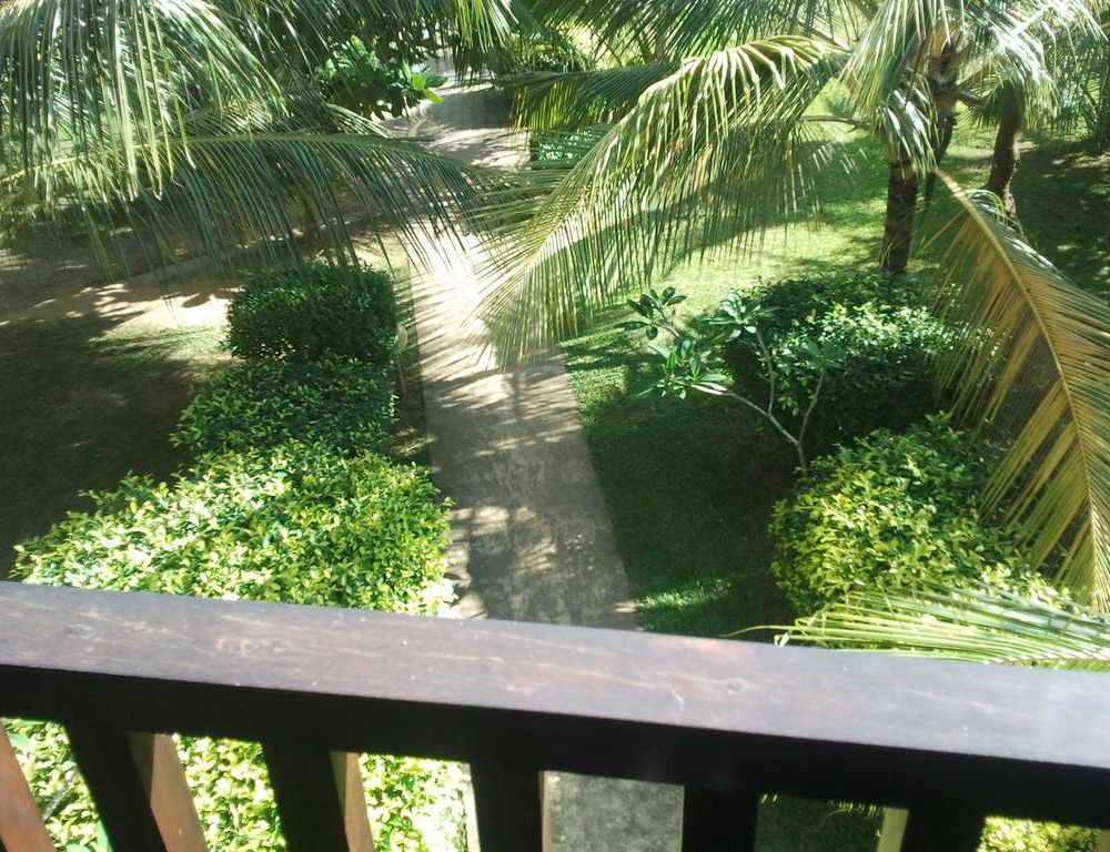 Outdoor Pictures 21