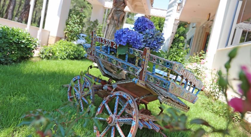 Outdoor Pictures 17