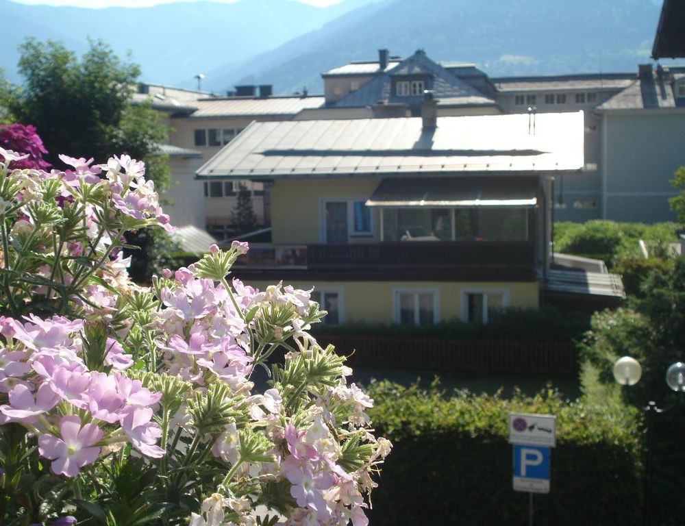 Outdoor Pictures 12