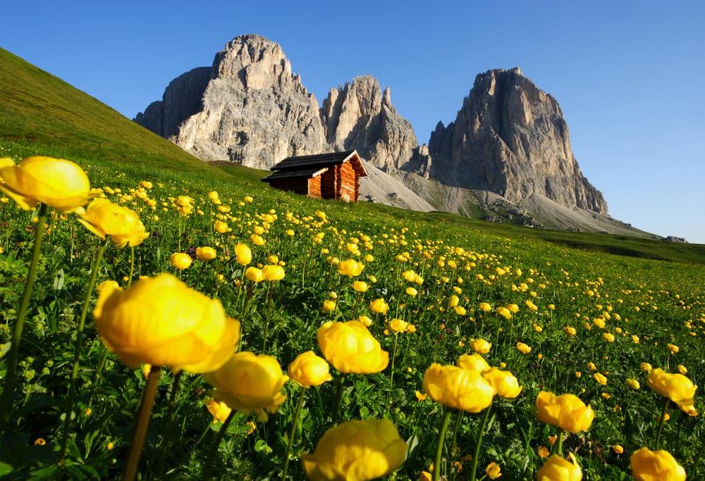 Outdoor Pictures 21
