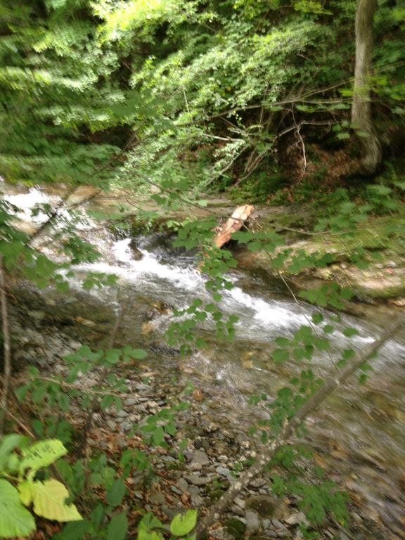 Outdoor Pictures 14