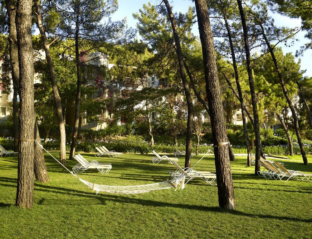 Outdoor Pictures 20