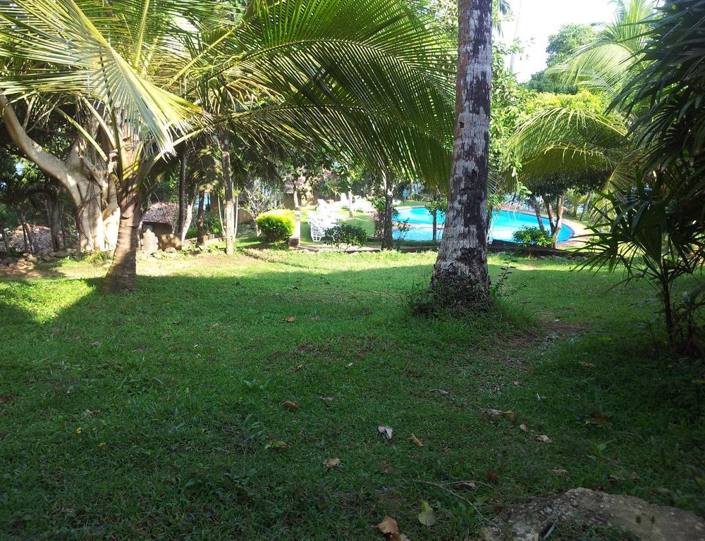 Outdoor Pictures 15