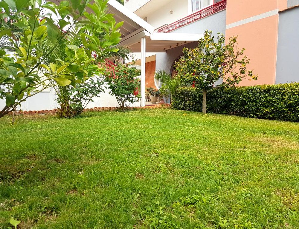 Outdoor Pictures 22