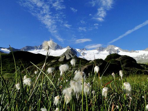 Outdoor Pictures 20
