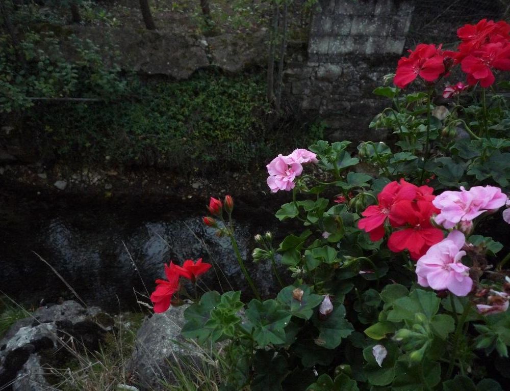 Outdoor Pictures 20