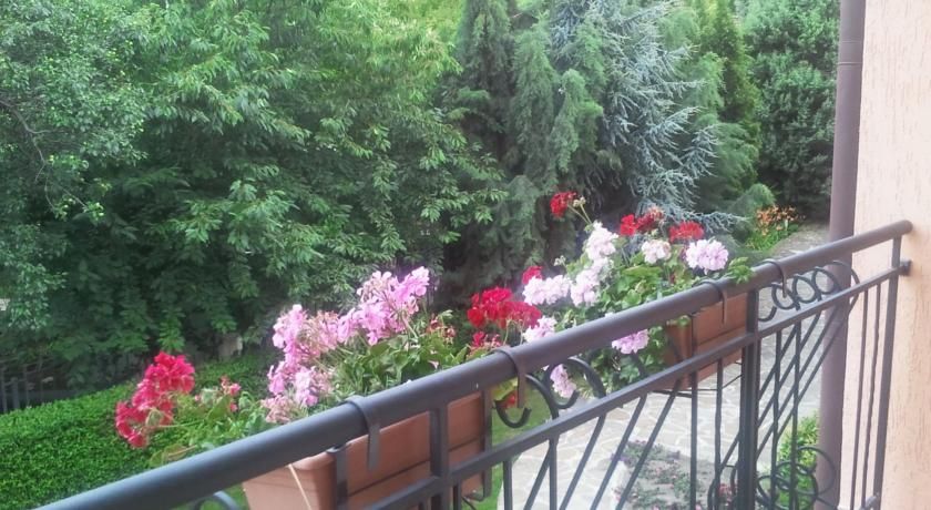 Outdoor Pictures 21