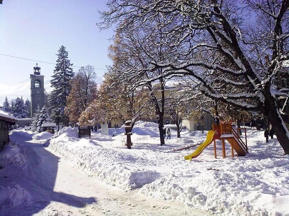 Outdoor Pictures 22