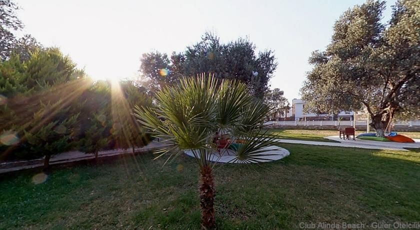 Outdoor Pictures 12