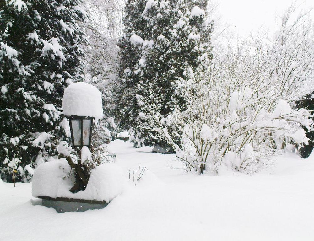 Outdoor Pictures 20