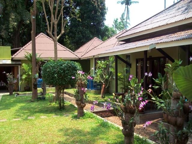Outdoor Pictures 1
