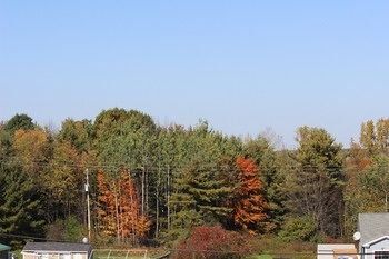 Outdoor Pictures 18