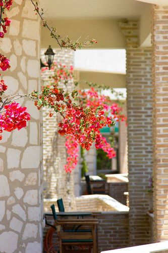 Outdoor Pictures 13