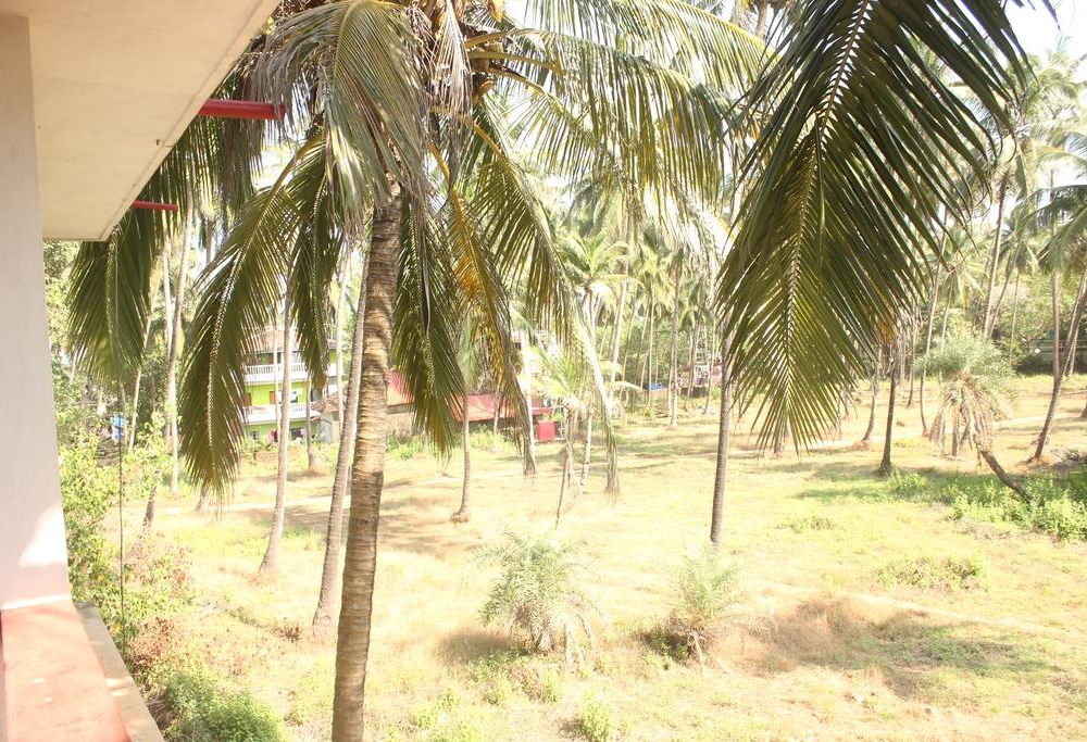 Outdoor Pictures 22