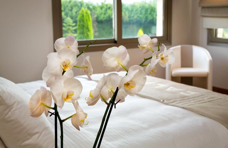 Calma Hotel & Spa