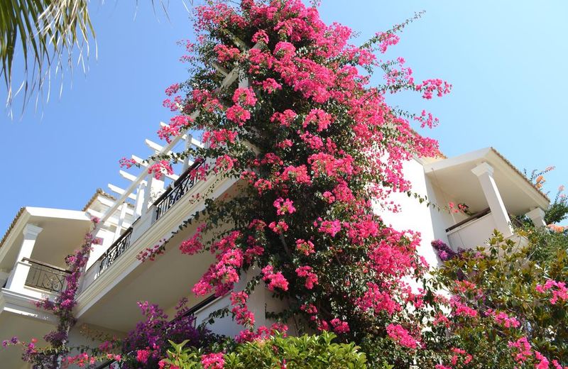 Delfino Blu Boutique Hotel