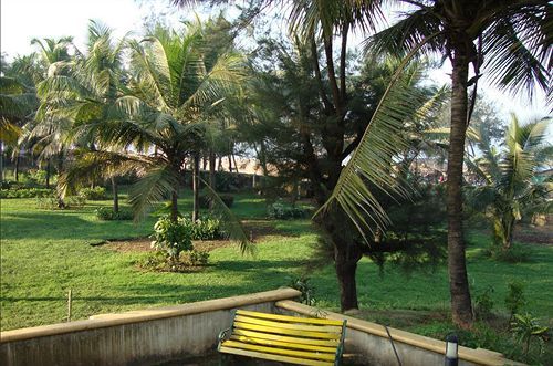 Outdoor Pictures 13